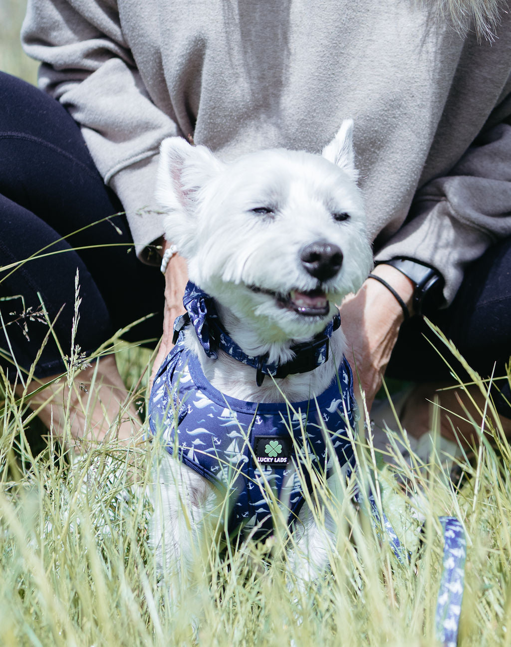 Comfort No Tangle Leash- Seas The Day