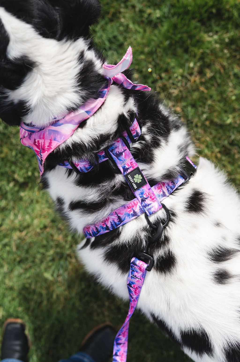 Highly Adjustable Strap Harness- Pump Up The Volume