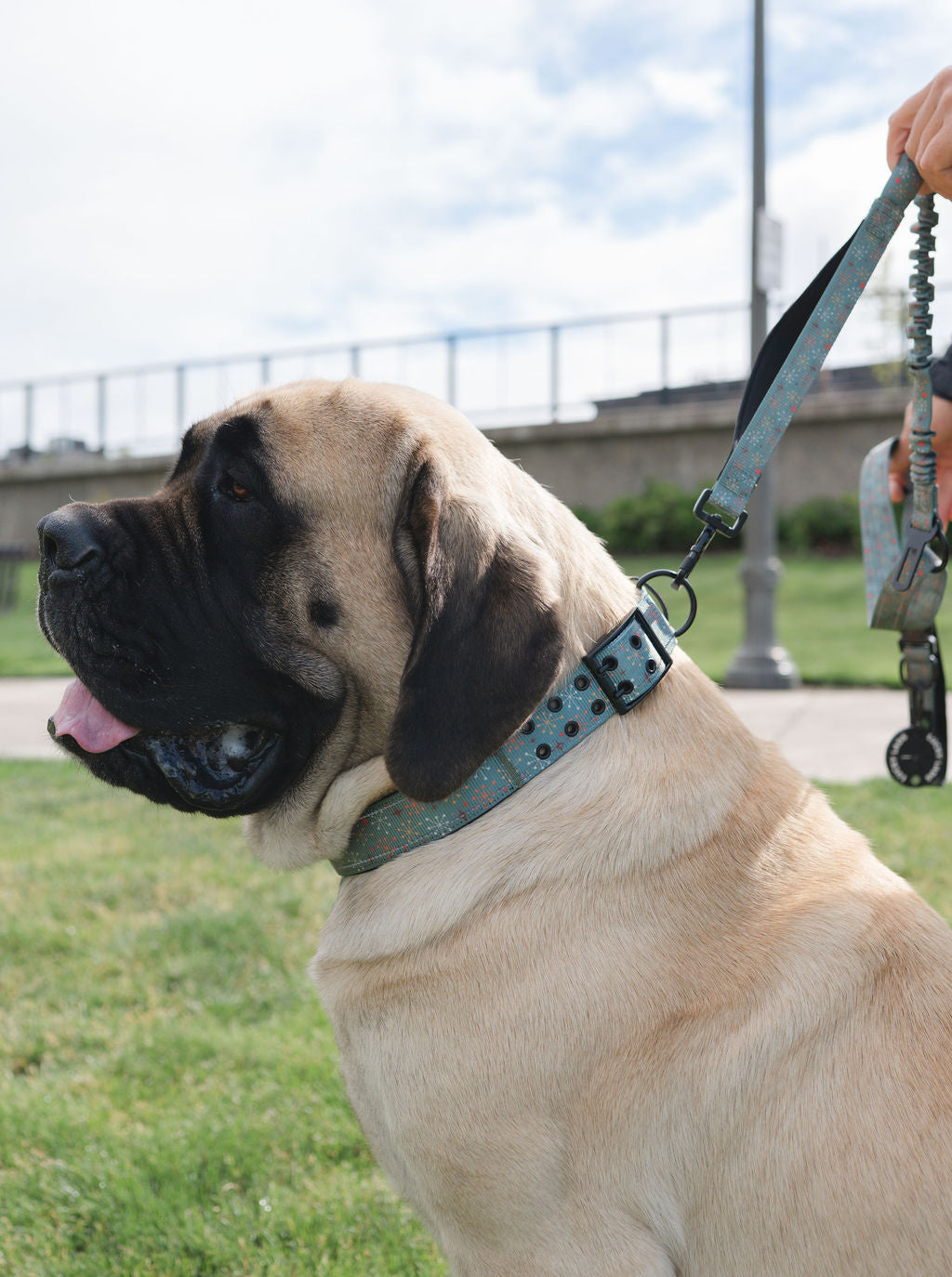 Adjustable Heavy Duty Big Fluff XXL Collar - Atomic Starburst