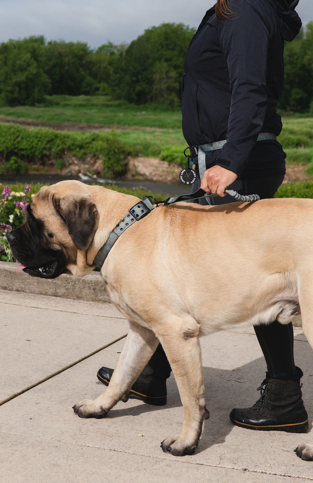 Adjustable Heavy Duty Big Fluff XXL Collar - Atomic Starburst