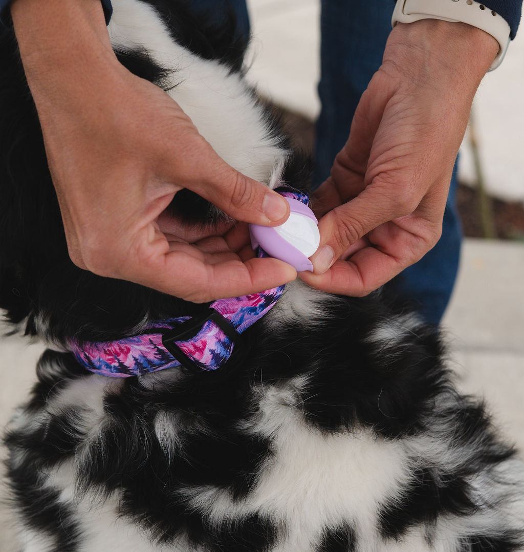 Adjustable Comfort Collar with attached Air Tag Holder - Mountain Sunset