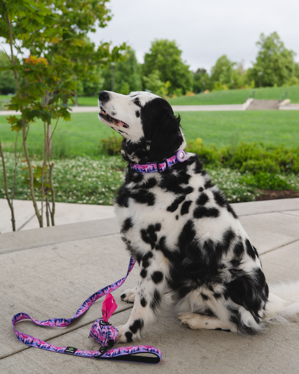 Comfort No Tangle Leash- Mountain Sunset