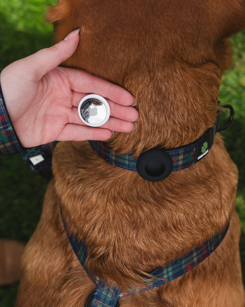 Collar Air Tag Holders