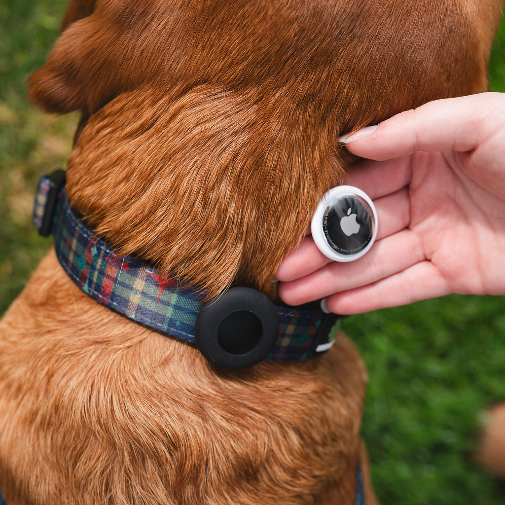 Collar Air Tag Holders