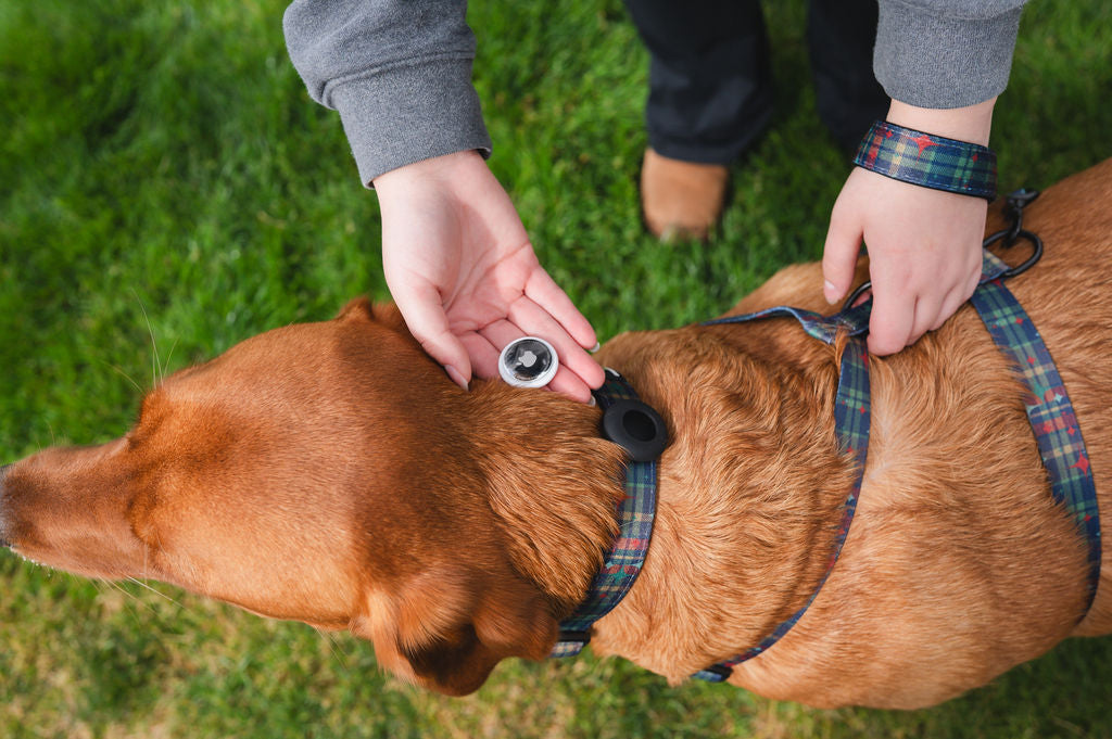 Collar Air Tag Holders