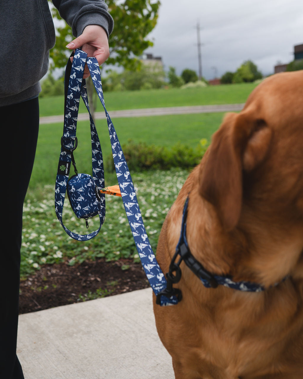 Comfort No Tangle Leash- Seas The Day