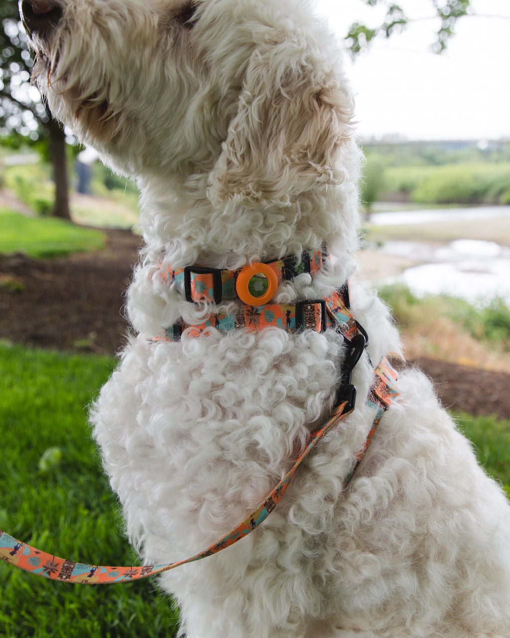Comfort No Tangle Leash- Island Time