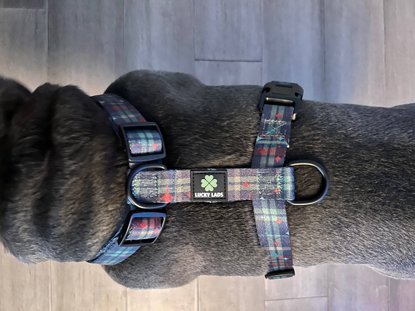 Strap Harness- Mid Mod Perfect Plaid