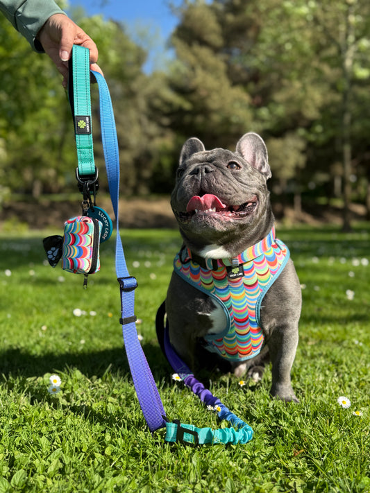 Soft Harness- Box of Crayons