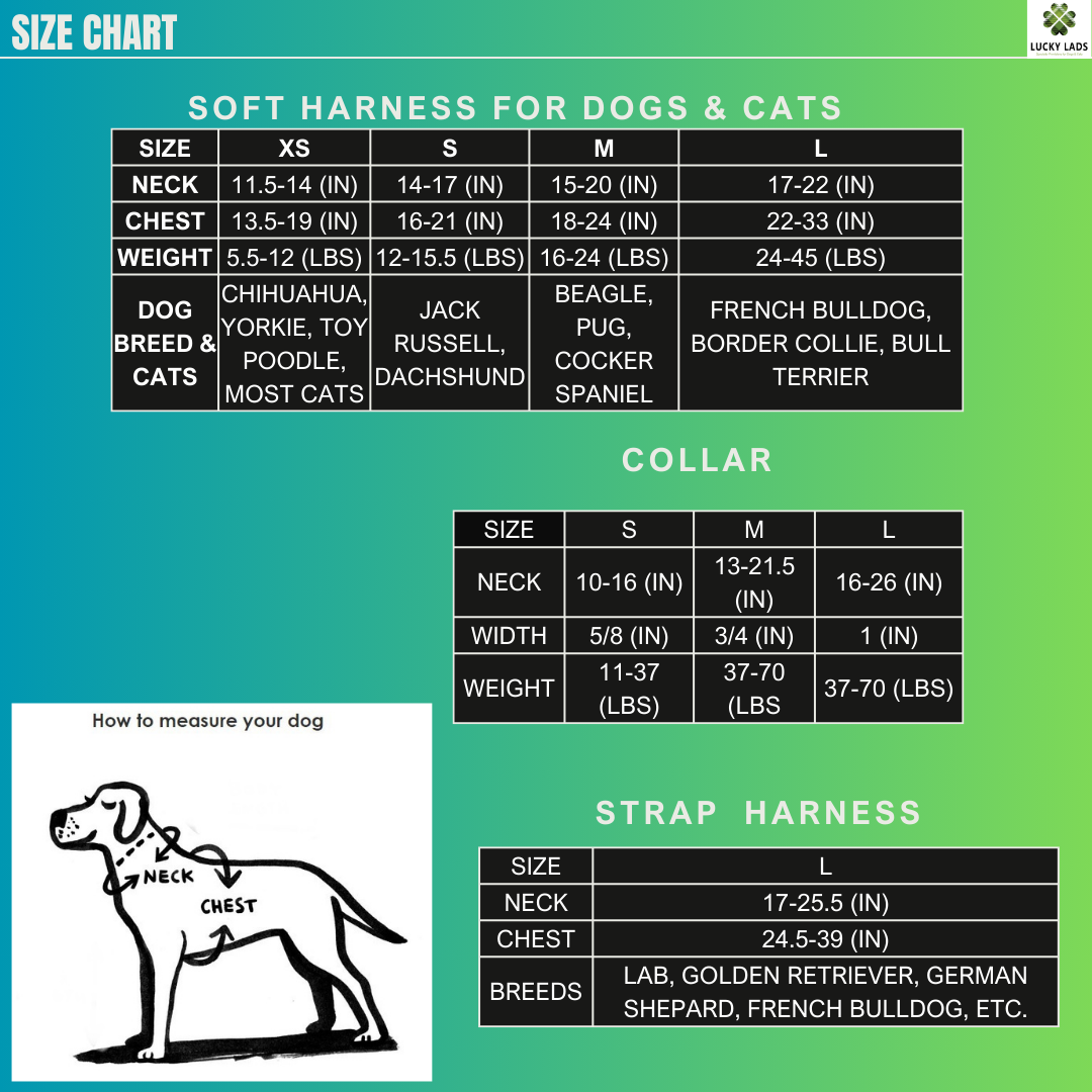 Adjustable Comfort Collar- Pump Up The Volume
