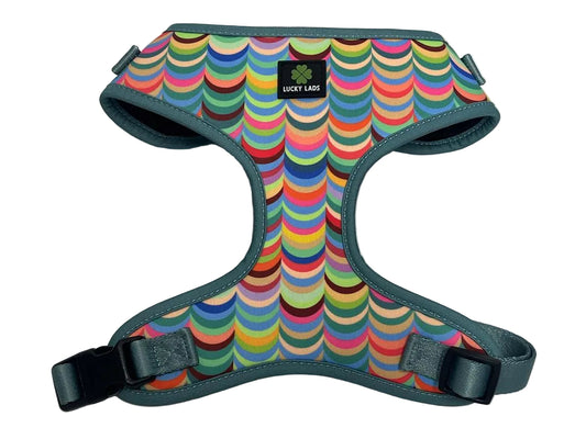 Soft Harness- Box of Crayons