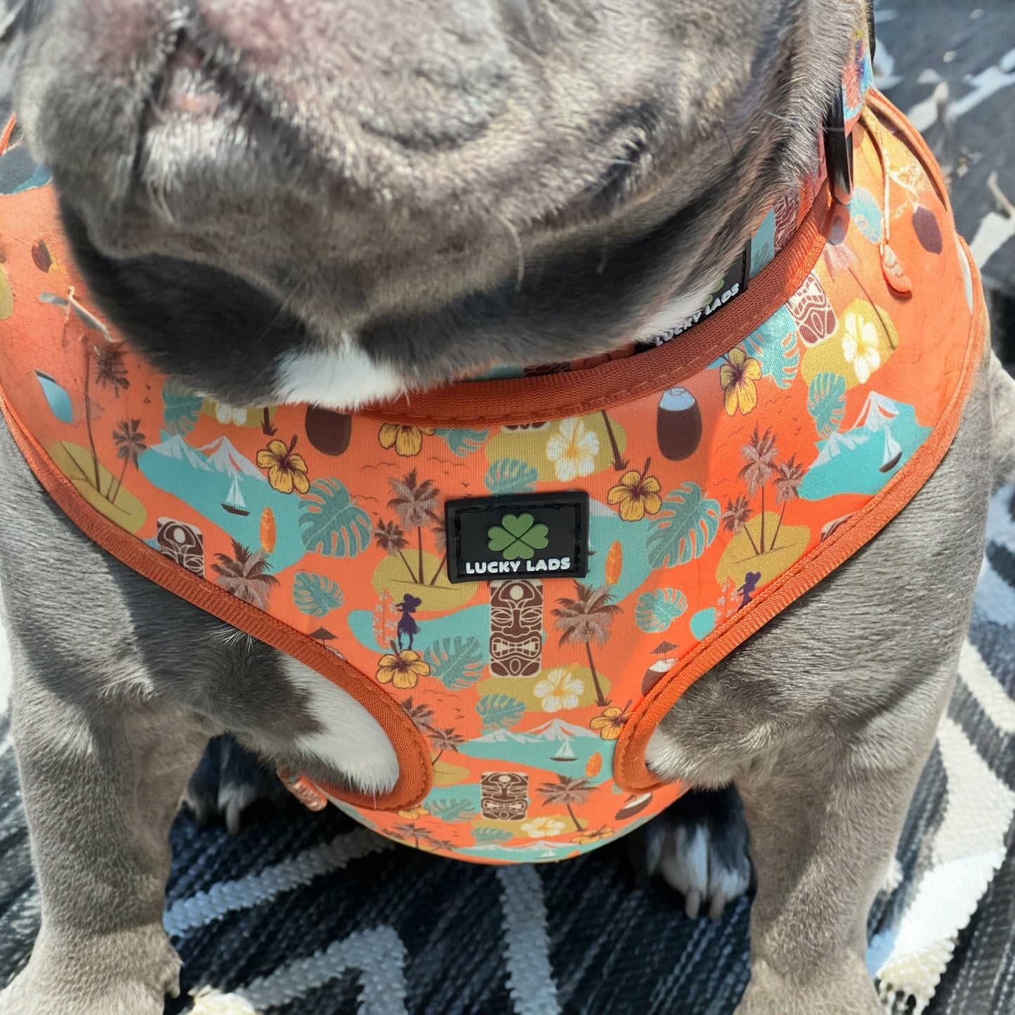 Soft Harness- Island Time