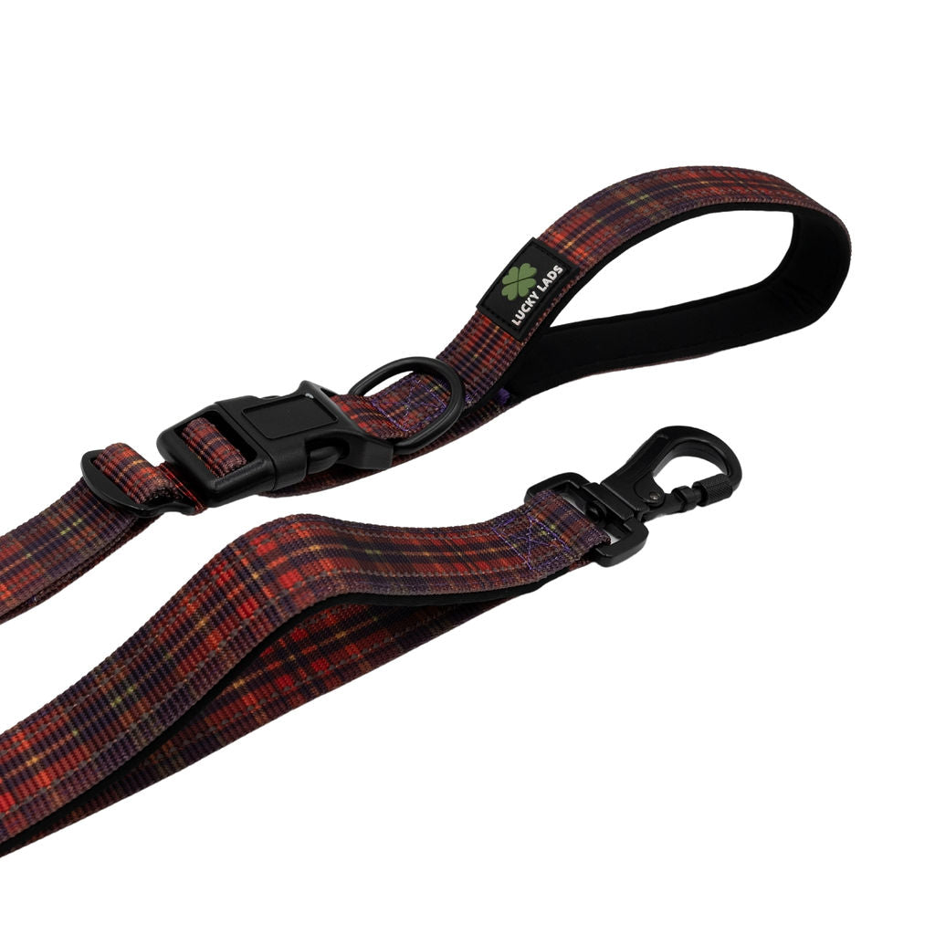 Deluxe Adjustable No Pull Leash: Straight Outta Ireland Tartan