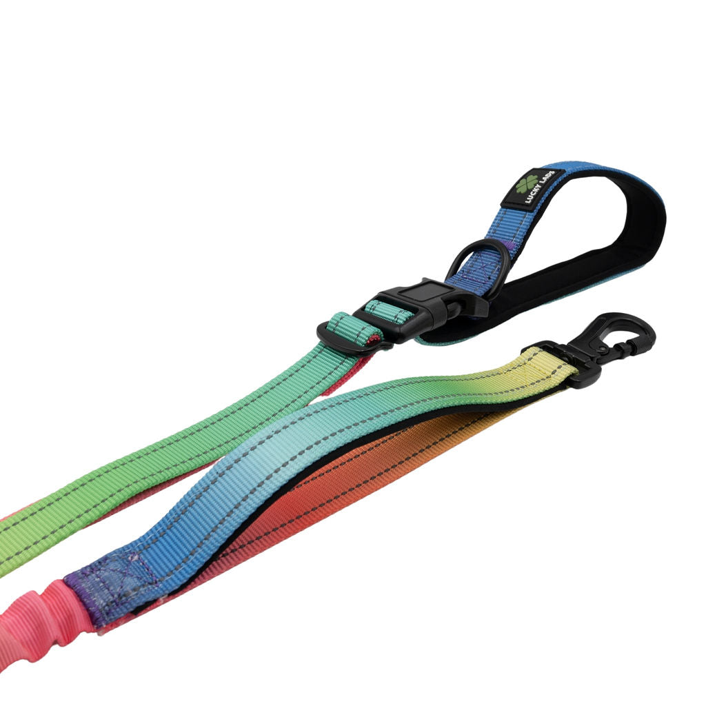 Deluxe Adjustable No Pull Leash: Pride - In the Name of Love