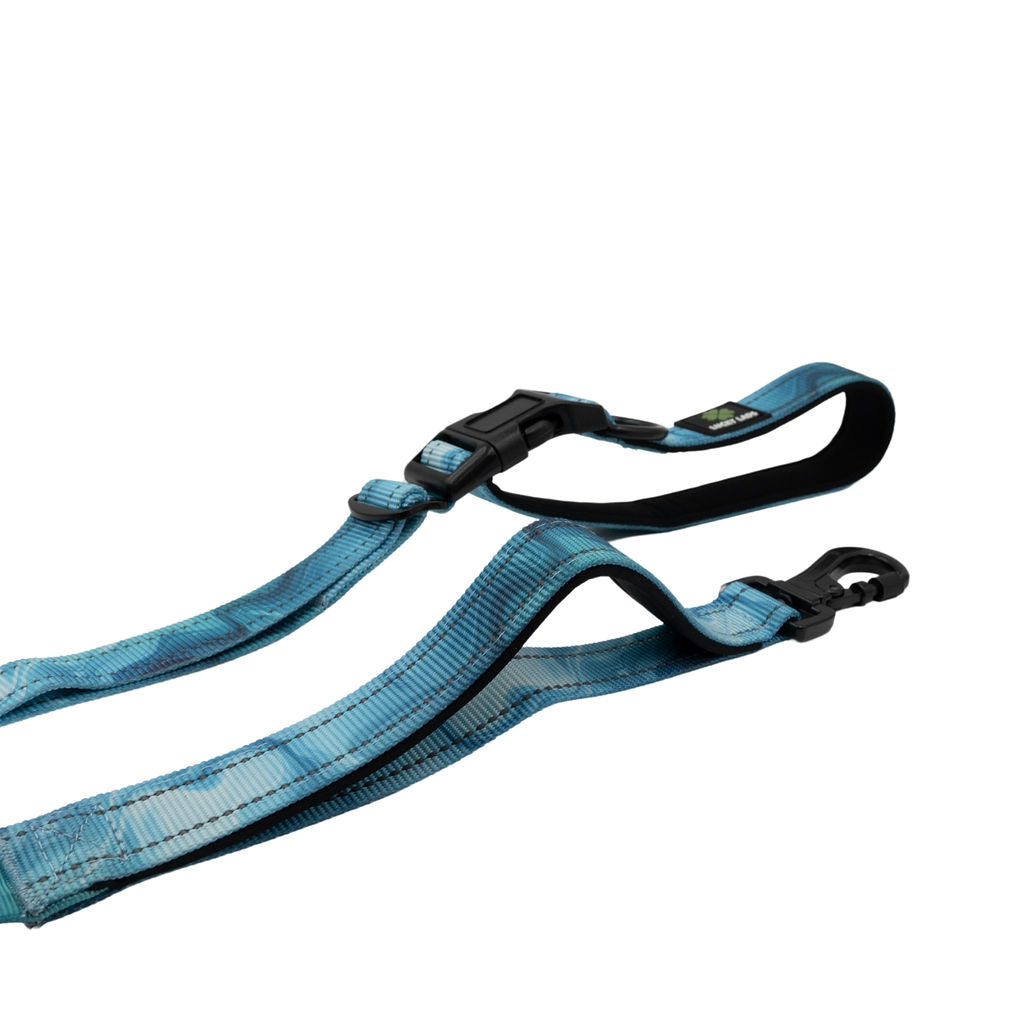 Deluxe Adjustable No Pull Leash: Glacier Blue Ice Caves