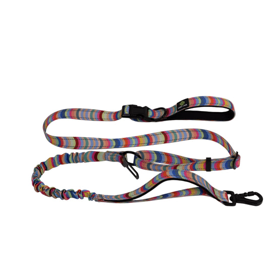 Deluxe Adjustable No Pull Leash: Box of Crayons