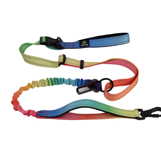 Deluxe Adjustable No Pull Leash: Pride - In the Name of Love