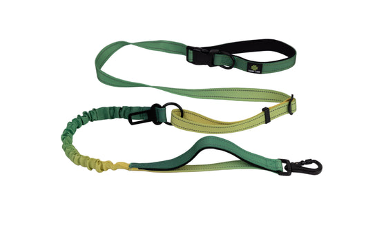 Deluxe Adjustable No Pull Leash: Shades of Citrus