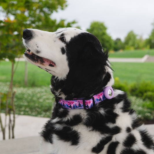 Adjustable Comfort Collar with attached Air Tag Holder - Mountain Sunset