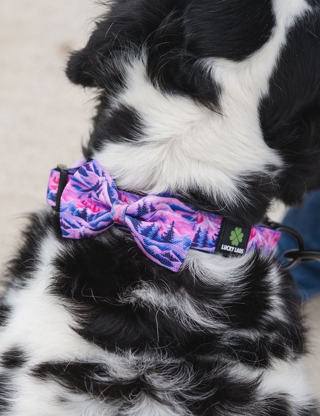 Bow Tie- Mountain Sunset