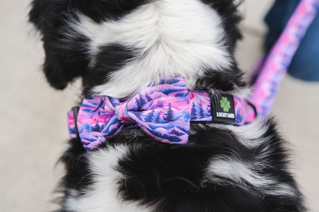 Bow Tie- Mountain Sunset