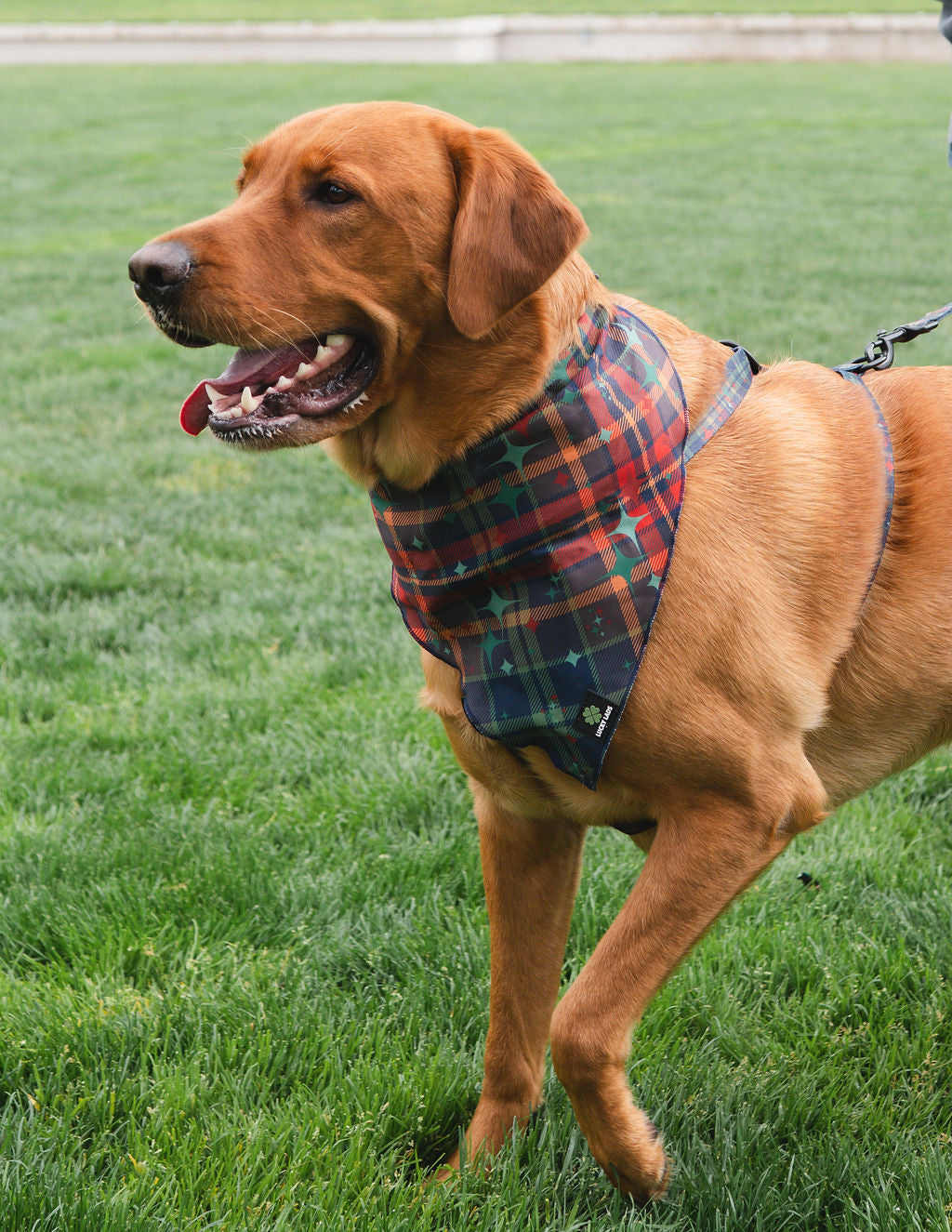 Bandana- Mid Mod Perfect Plaid