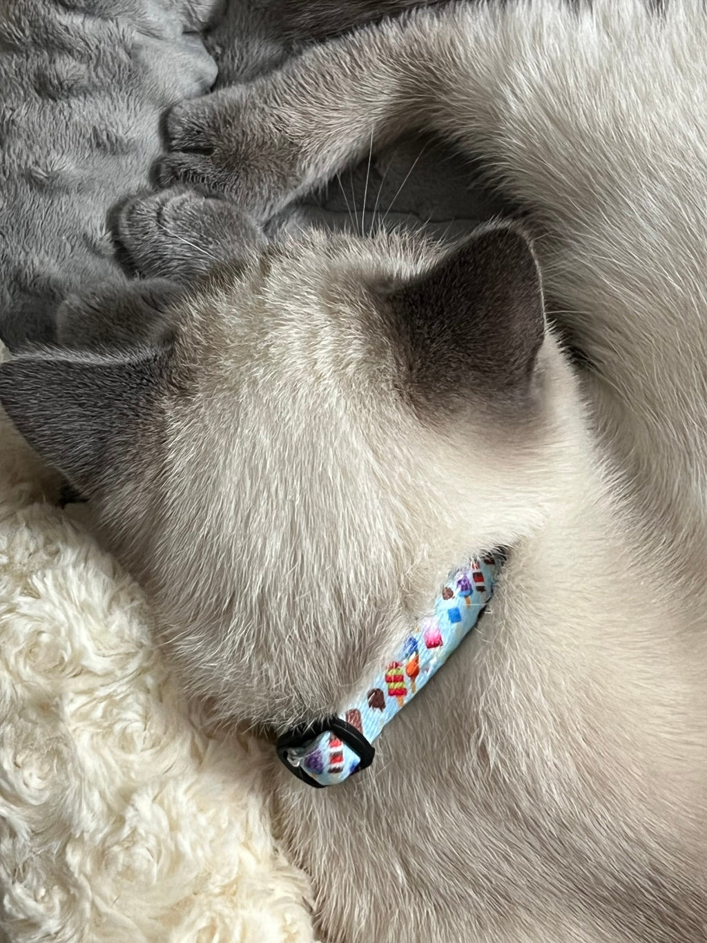 Kitty Kat Collar with attached Air Tag Holder: Ice Cream Dreams- 75 Licks