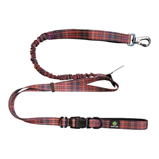 Deluxe Adjustable No Pull Leash: Straight Outta Ireland Tartan