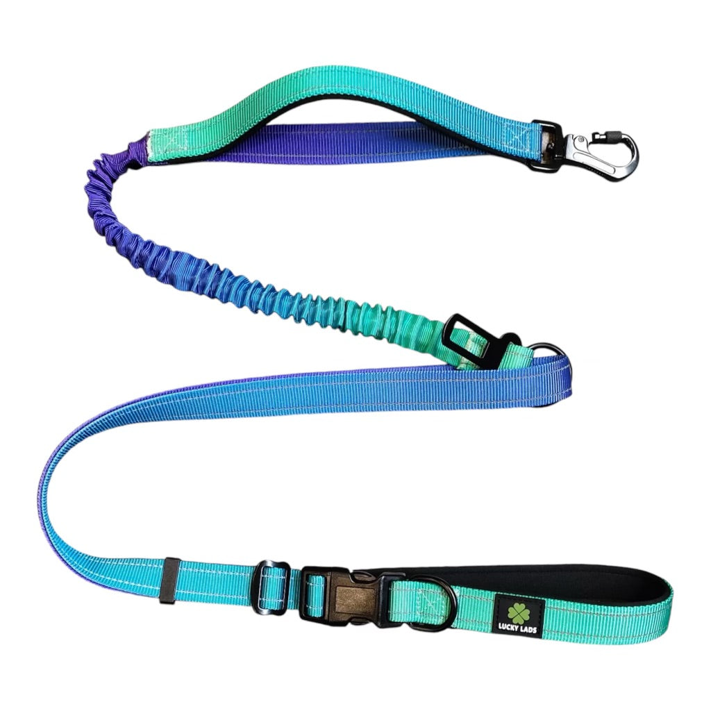 Deluxe Adjustable No Pull Leash: The Northern Lights