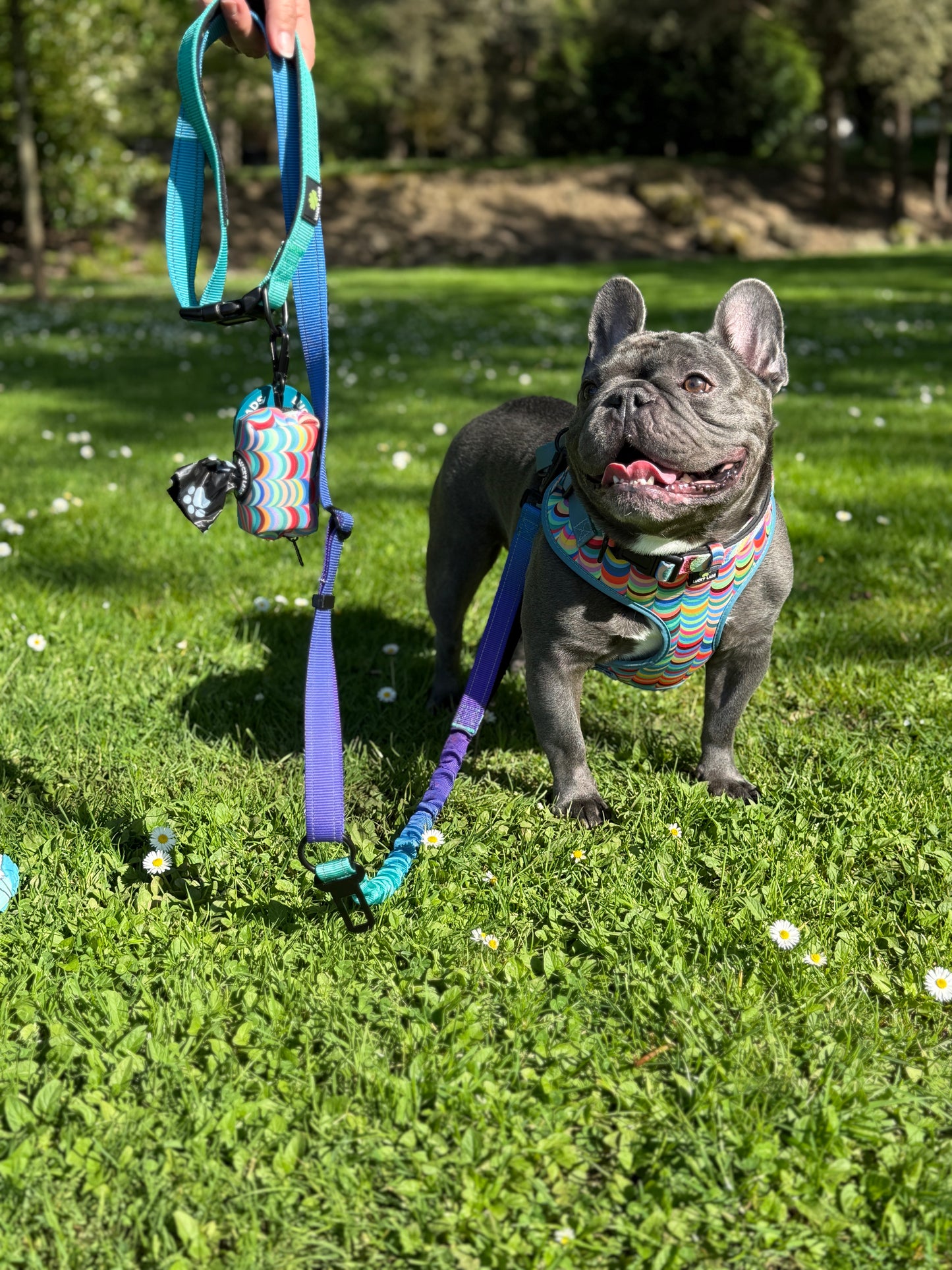 Soft Harness- Box of Crayons