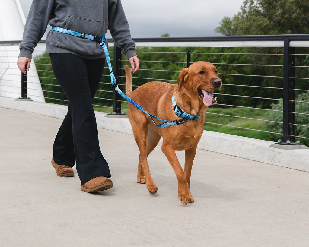 Adjustable Heavy Duty Big Fluff XL Collar - Glacier Blue Ice Caves