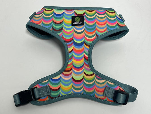 Soft Harness- Box of Crayons