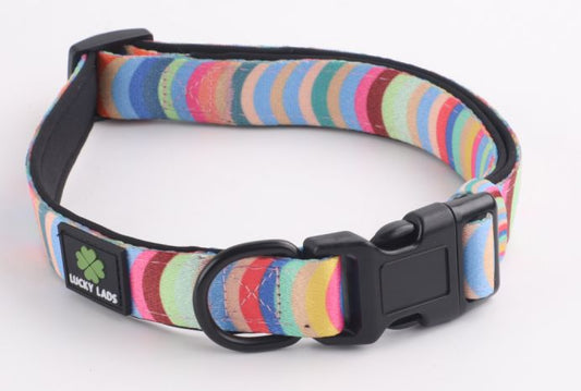 Adjustable Comfort Collar - Box of Crayons