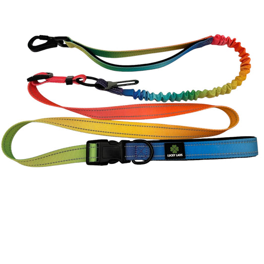 Deluxe Adjustable No Pull Leash: Pride - In the Name of Love