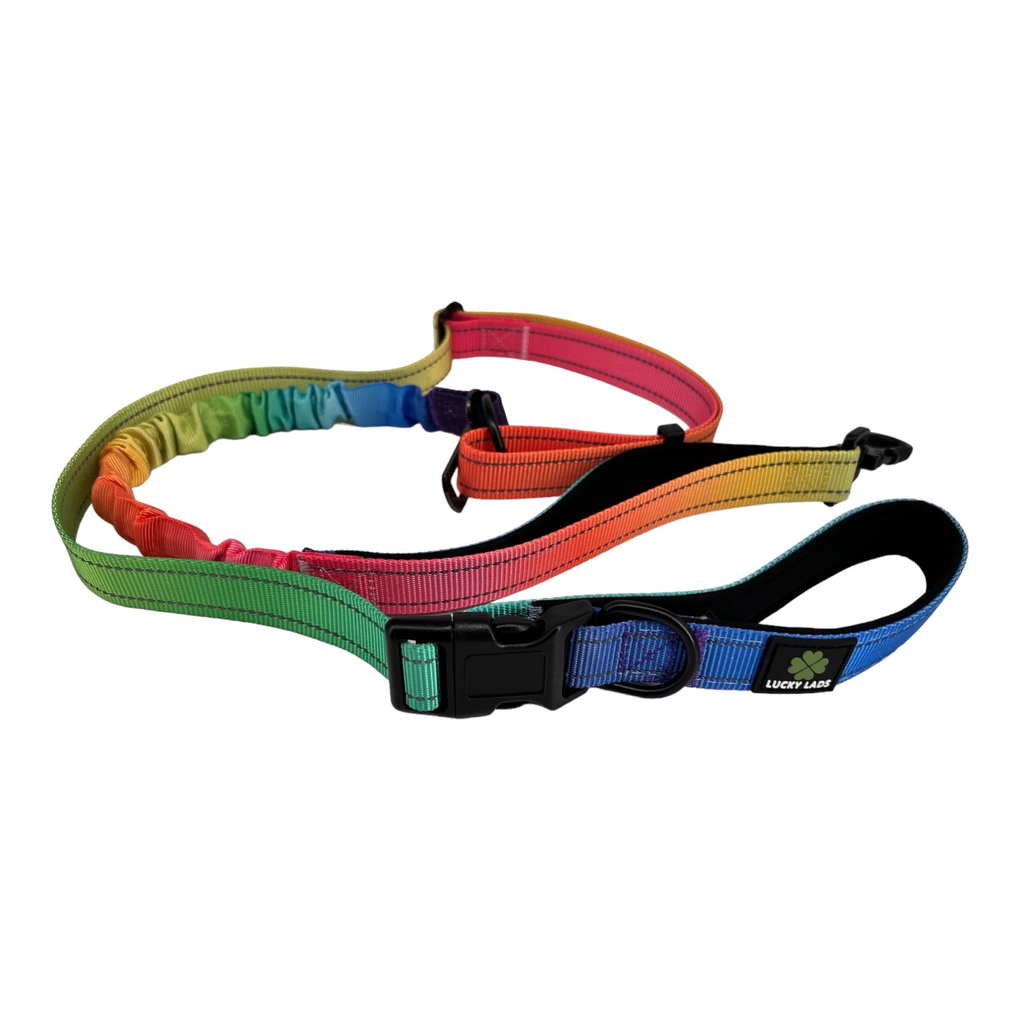 Deluxe Adjustable No Pull Leash: Pride - In the Name of Love