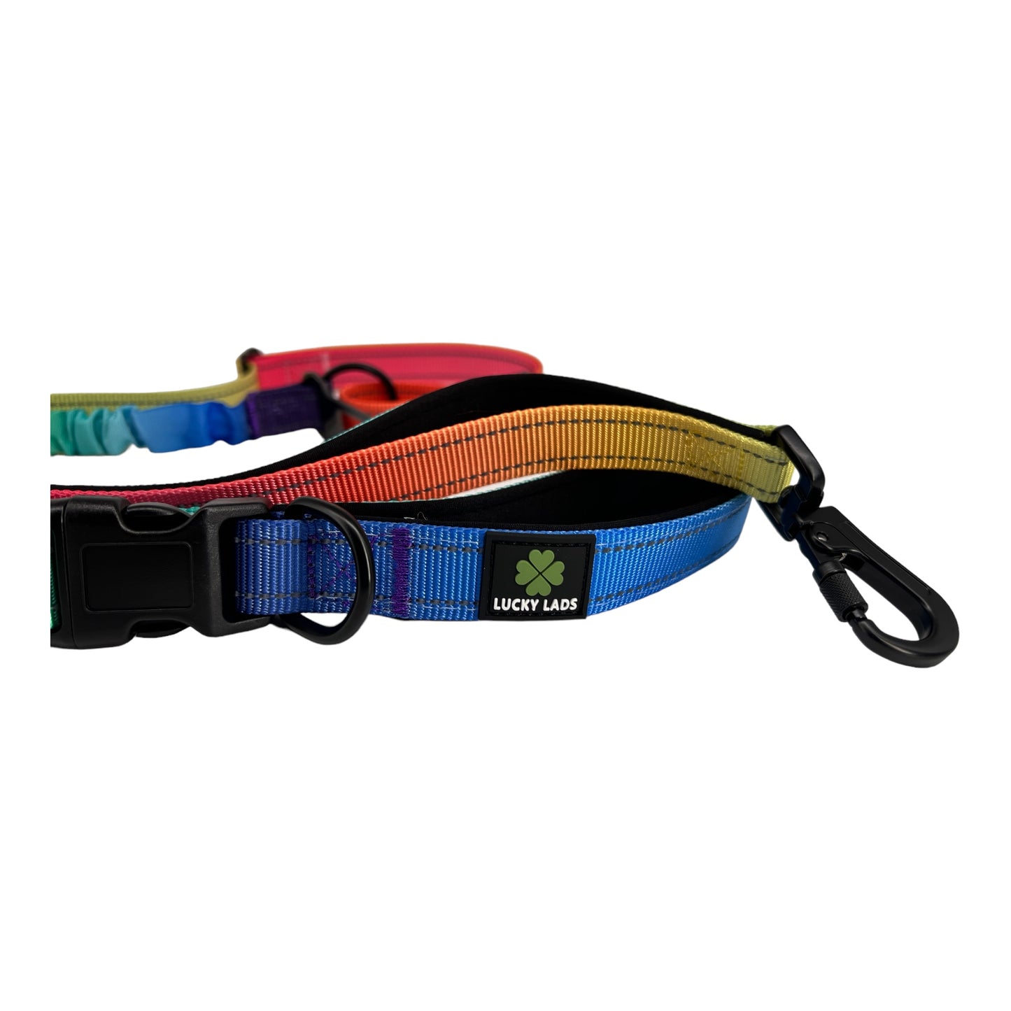 Deluxe Adjustable No Pull Leash: Pride - In the Name of Love