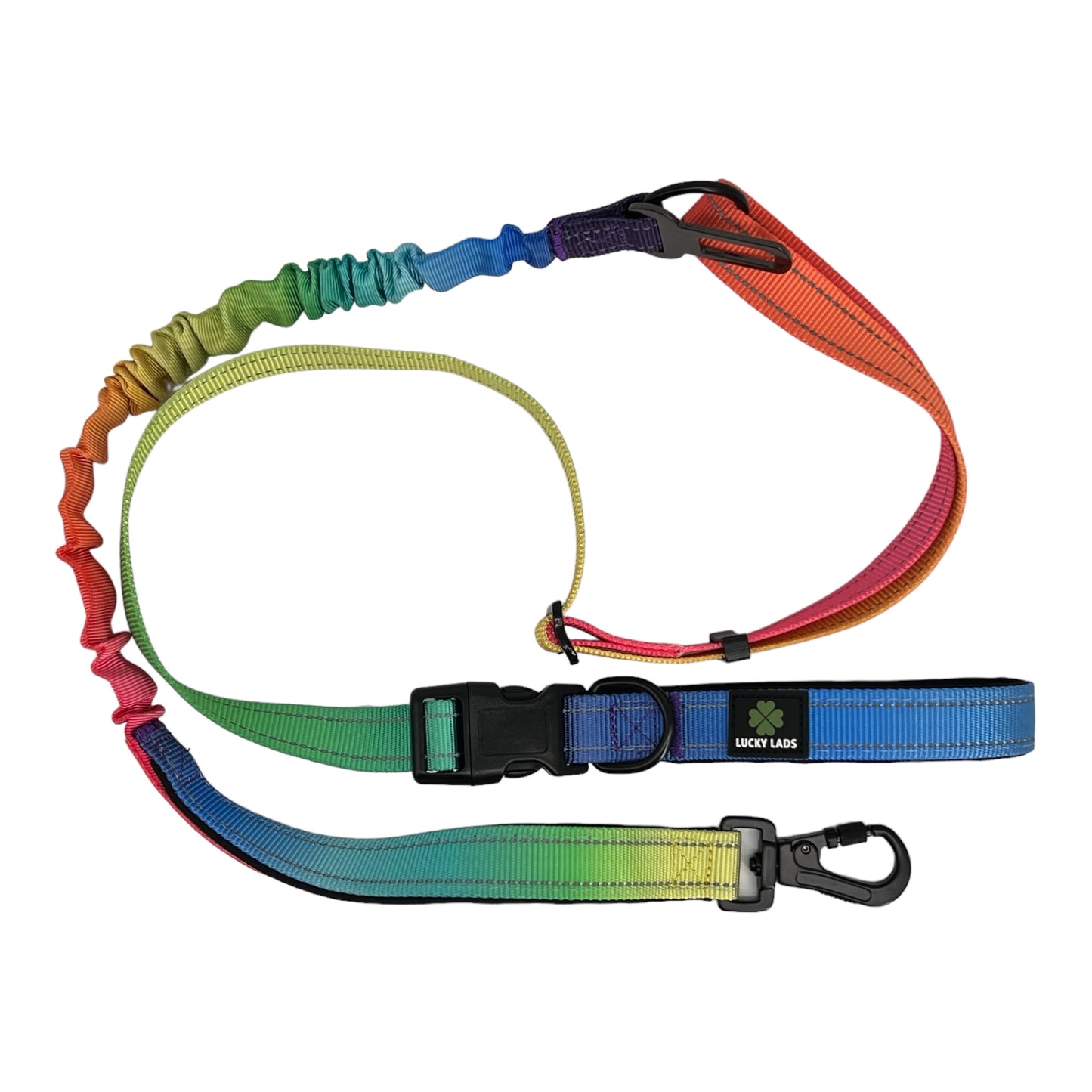 Deluxe Adjustable No Pull Leash: Pride - In the Name of Love