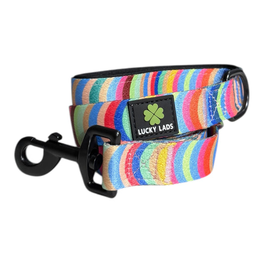 Comfort No Tangle Leash- Box of Crayons