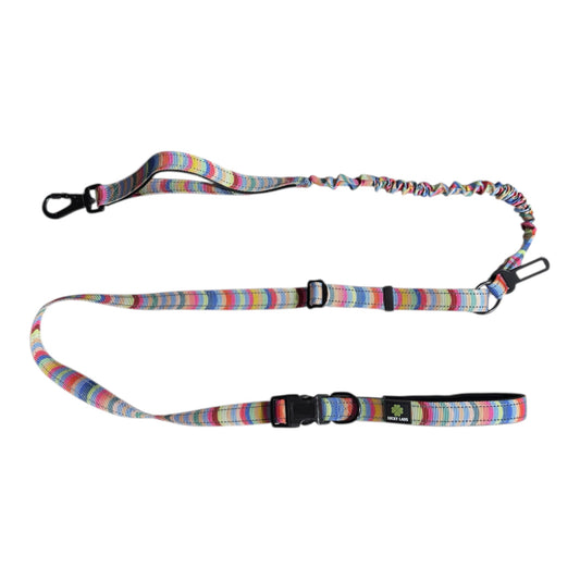 Deluxe Adjustable No Pull Leash: Box of Crayons