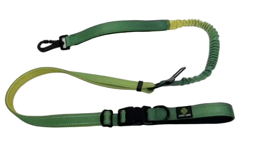 Deluxe Adjustable No Pull Leash: Shades of Citrus