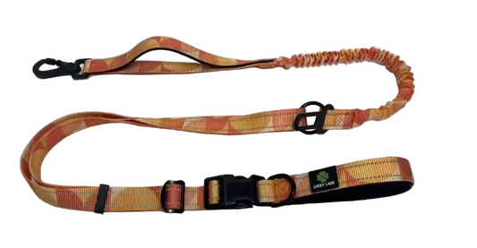 Deluxe Adjustable No Pull Leash: The Art of Dog